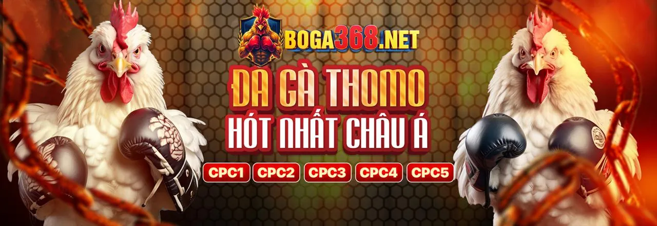 Tổng hợp các môn thể thao phổ biến như bóng đá, bóng rổ, tennis và eSports